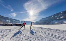 Zillertal Suites Fuegen By Alps Resorts